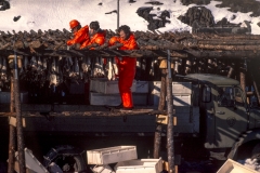 Le poisson séché, une méthode ancestrale. Seyðisfjörður 1980