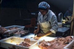 La grande qualité du poisson islandais c'est aussi un savoir faire. Seyðisfjörður 1981