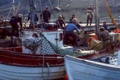 Seyðisfjörður 1981